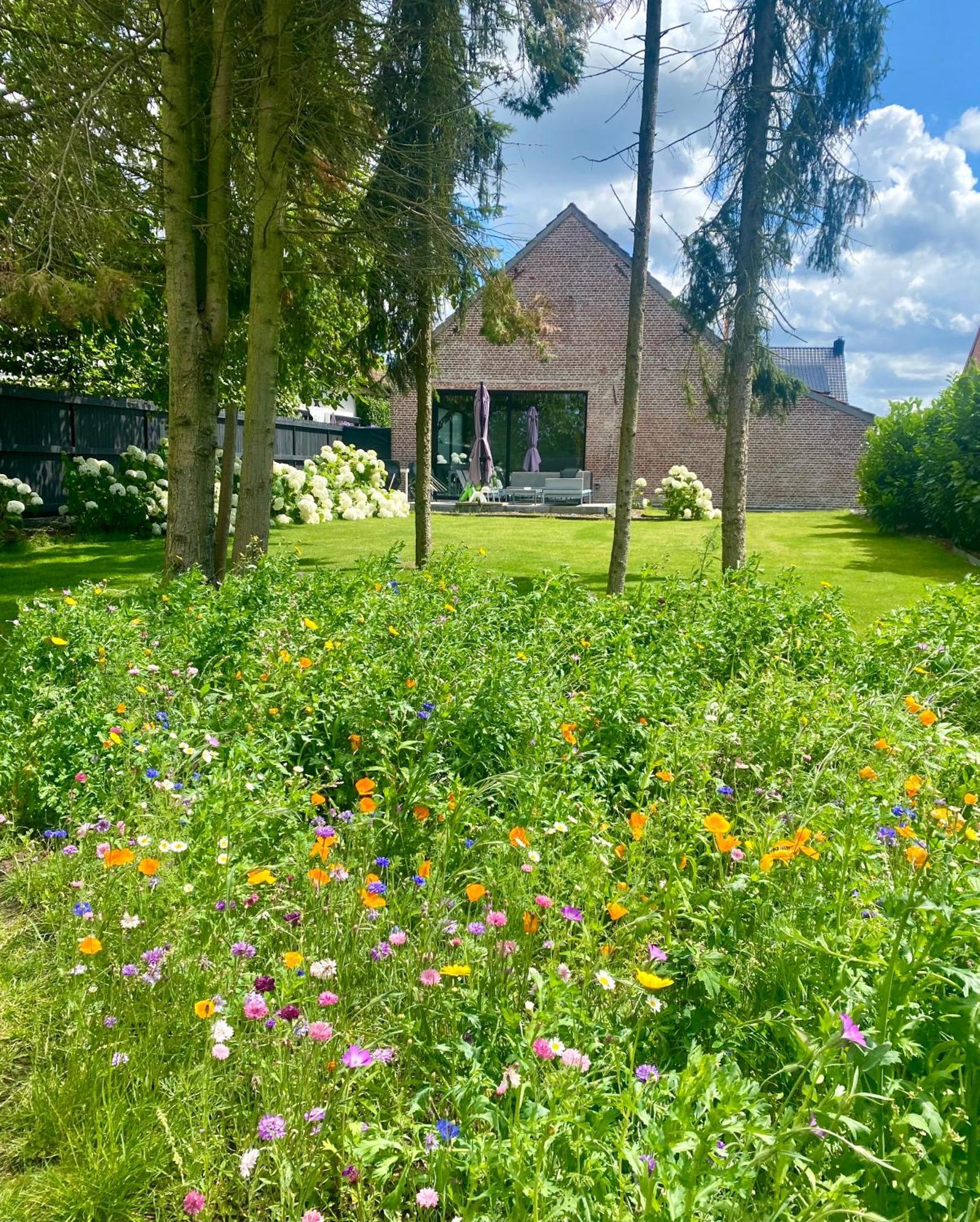 Hoeve De Kleinheide Dessel Exterior photo